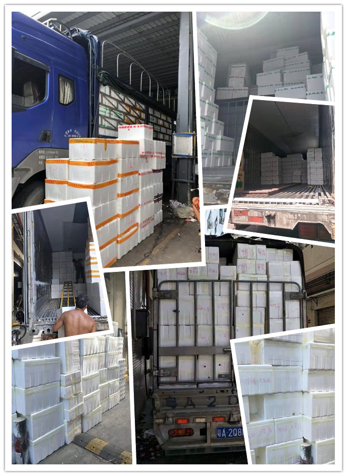 必发7790(中国区)电子集团-线上平台登录入口