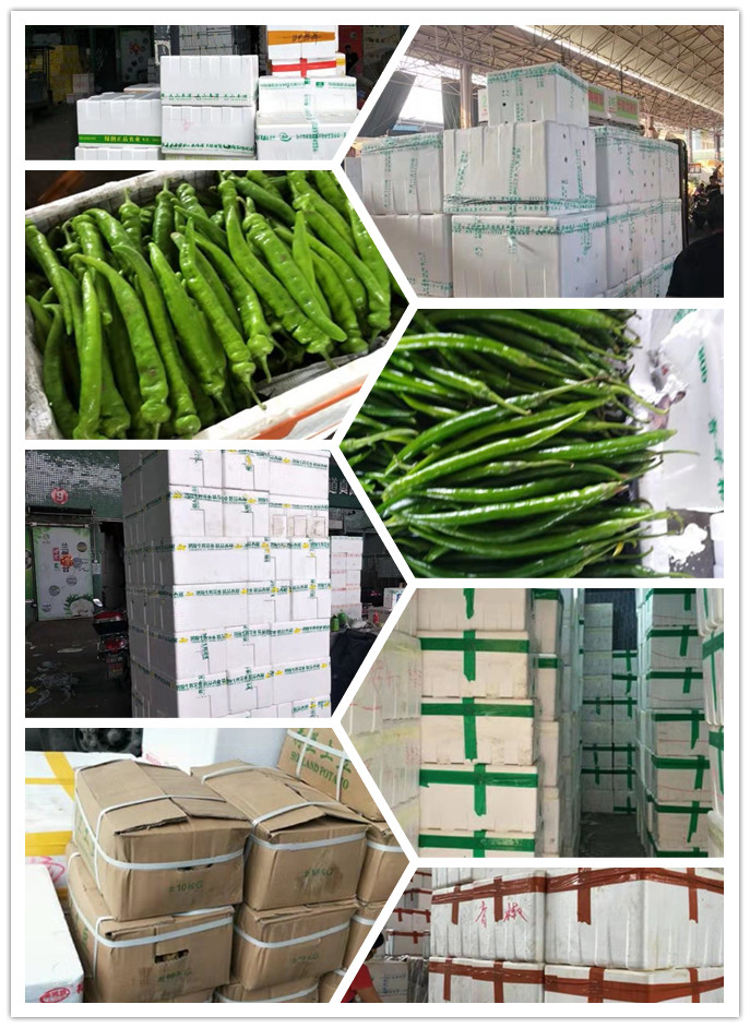 必发7790(中国区)电子集团-线上平台登录入口