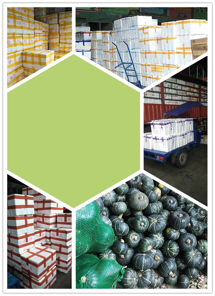 必发7790(中国区)电子集团-线上平台登录入口