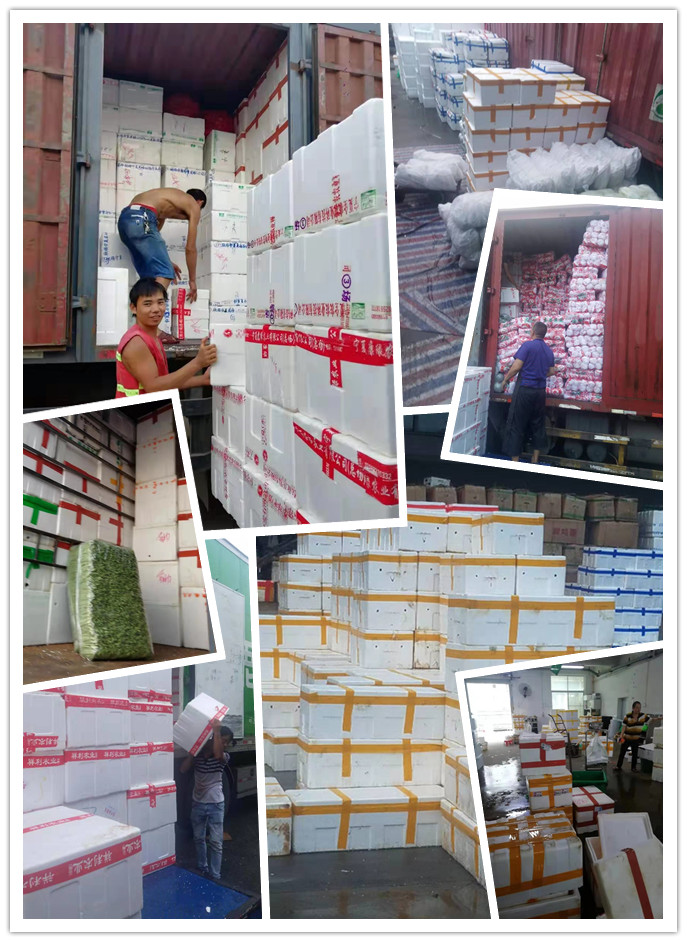 必发7790(中国区)电子集团-线上平台登录入口