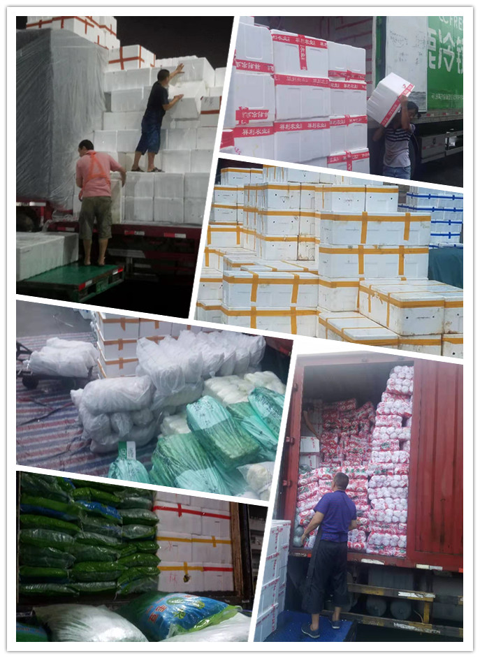 必发7790(中国区)电子集团-线上平台登录入口