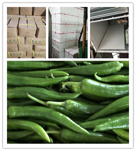 必发7790(中国区)电子集团-线上平台登录入口