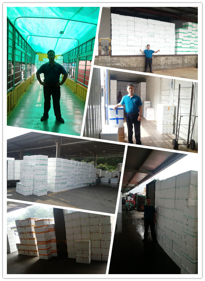 必发7790(中国区)电子集团-线上平台登录入口