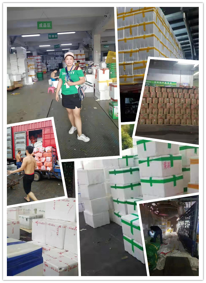 必发7790(中国区)电子集团-线上平台登录入口