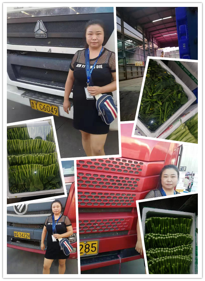 必发7790(中国区)电子集团-线上平台登录入口