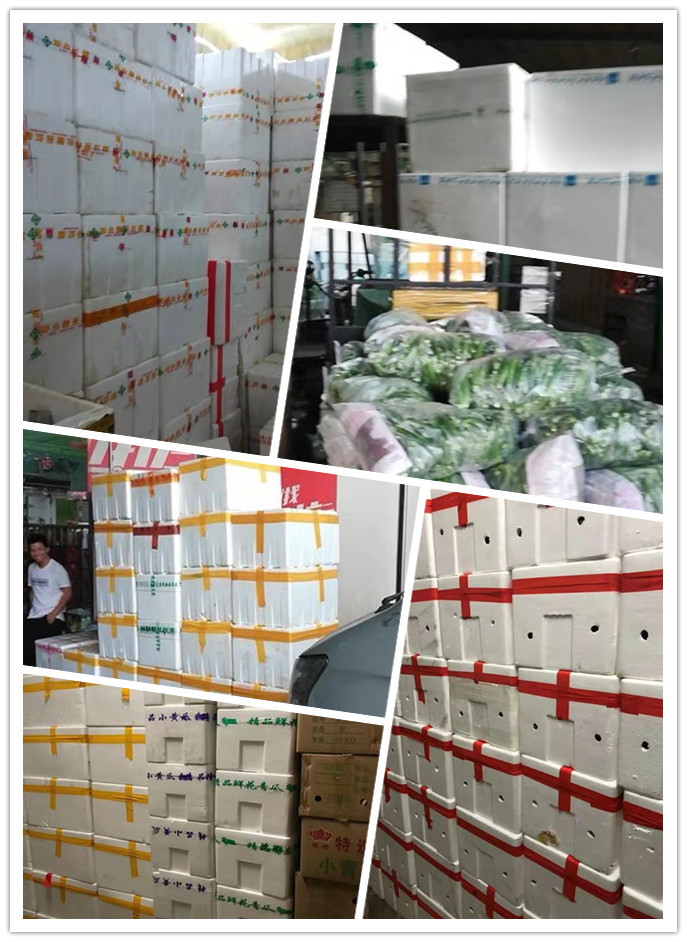 必发7790(中国区)电子集团-线上平台登录入口