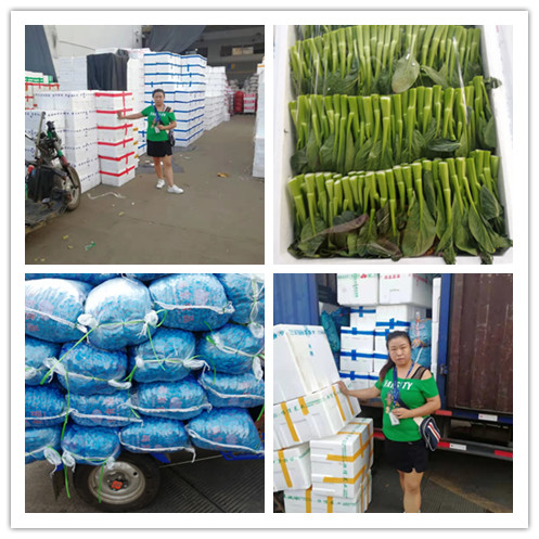 必发7790(中国区)电子集团-线上平台登录入口