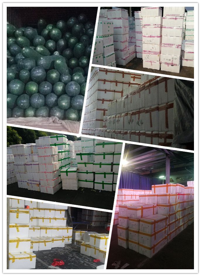 必发7790(中国区)电子集团-线上平台登录入口