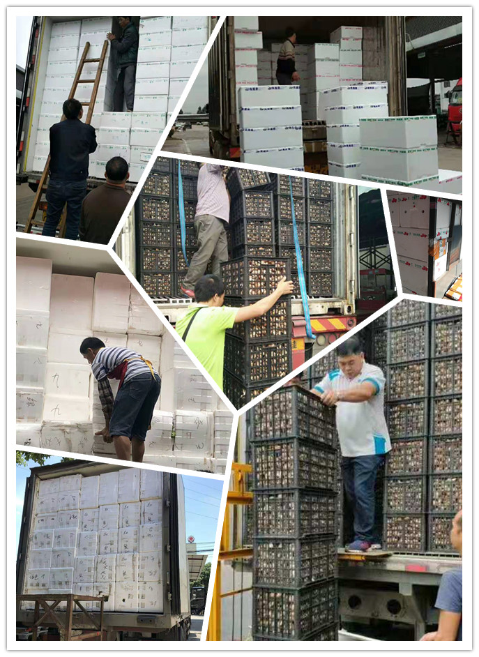 必发7790(中国区)电子集团-线上平台登录入口