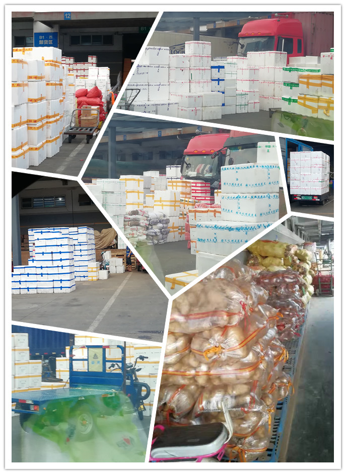 必发7790(中国区)电子集团-线上平台登录入口