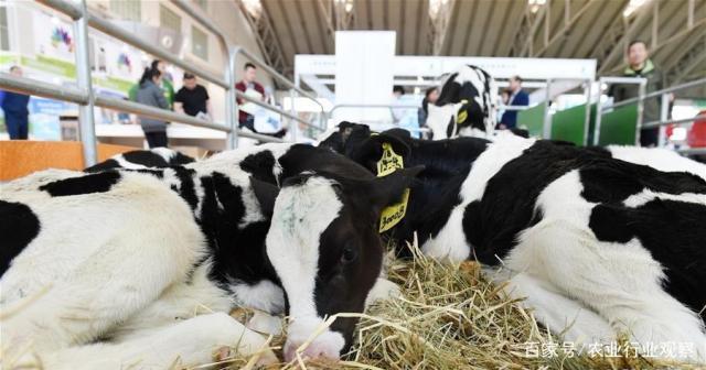 必发7790(中国区)电子集团-线上平台登录入口