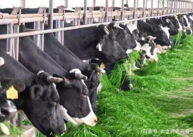 必发7790(中国区)电子集团-线上平台登录入口