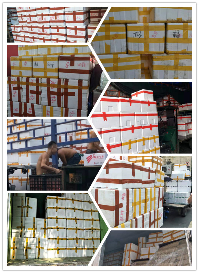 必发7790(中国区)电子集团-线上平台登录入口