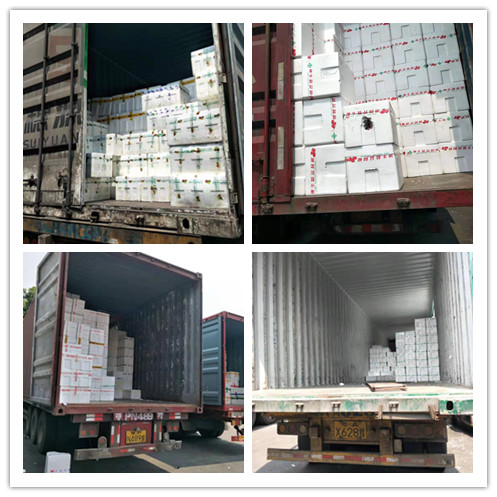 必发7790(中国区)电子集团-线上平台登录入口