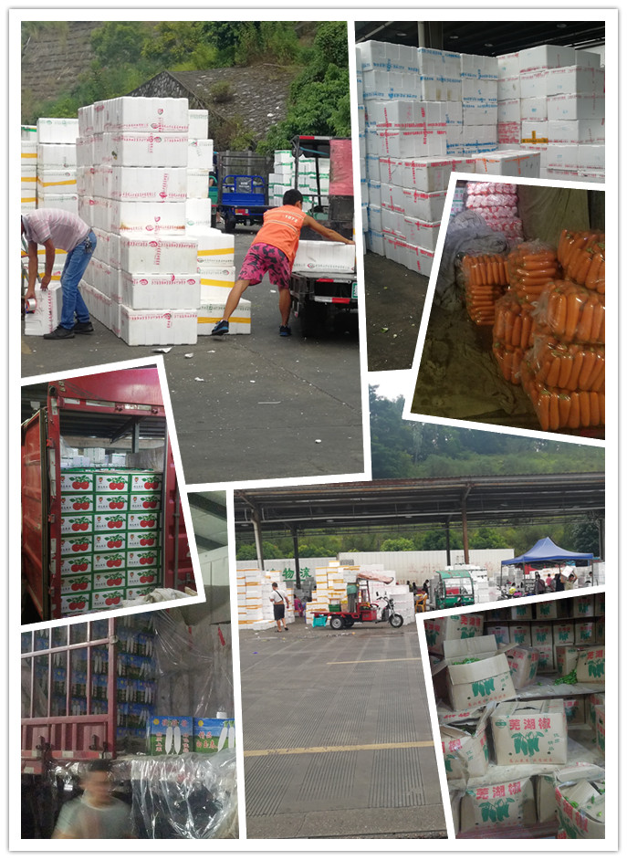 必发7790(中国区)电子集团-线上平台登录入口