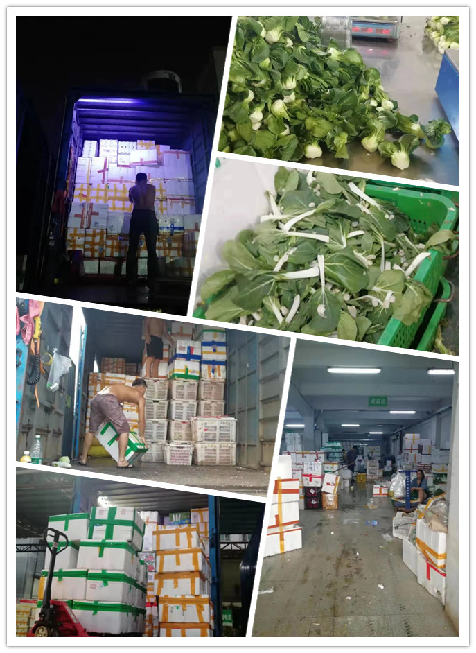 必发7790(中国区)电子集团-线上平台登录入口