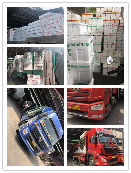 必发7790(中国区)电子集团-线上平台登录入口