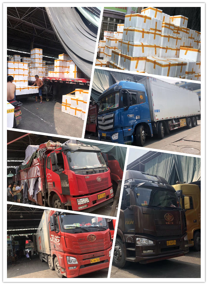 必发7790(中国区)电子集团-线上平台登录入口