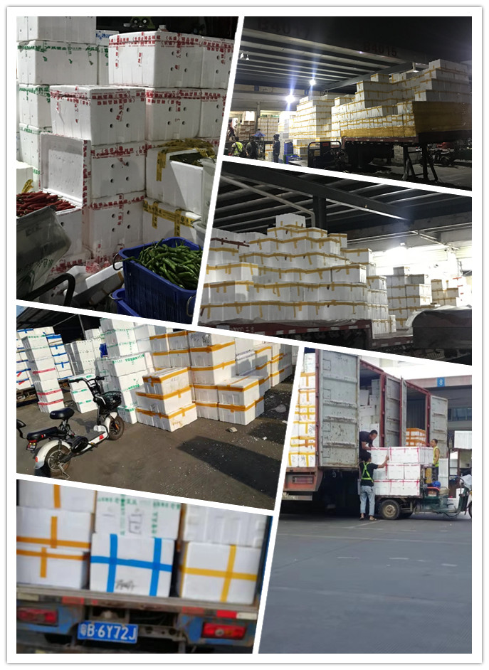 必发7790(中国区)电子集团-线上平台登录入口