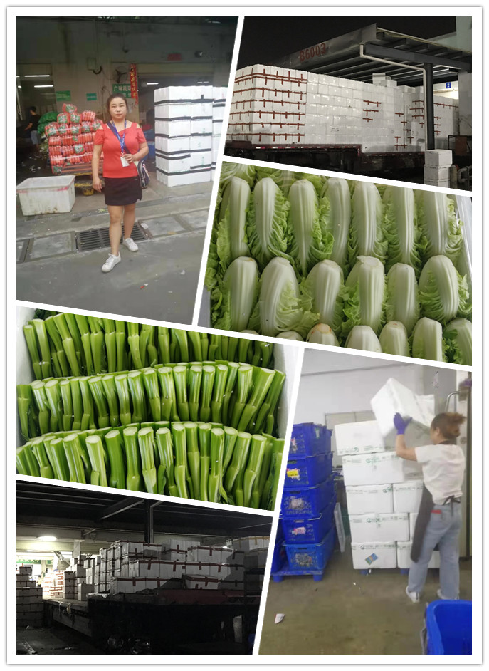 必发7790(中国区)电子集团-线上平台登录入口