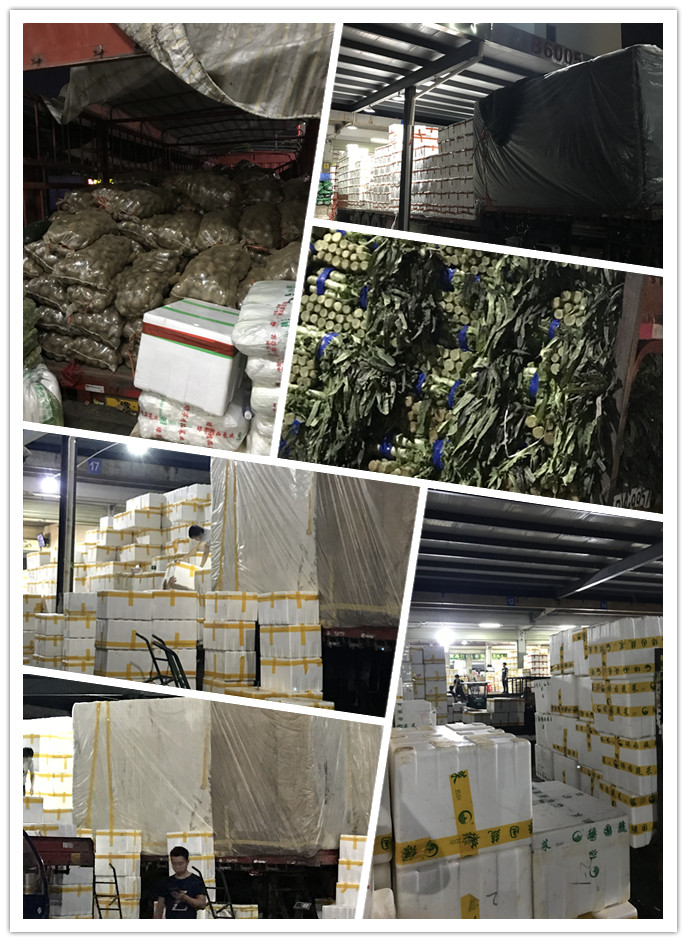 必发7790(中国区)电子集团-线上平台登录入口