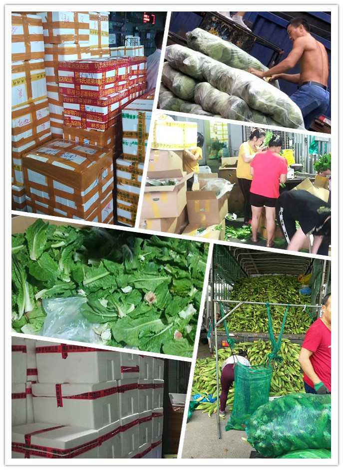 必发7790(中国区)电子集团-线上平台登录入口