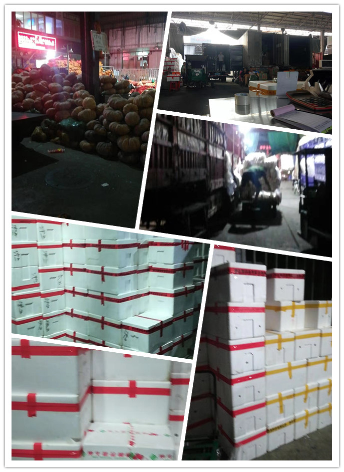 必发7790(中国区)电子集团-线上平台登录入口