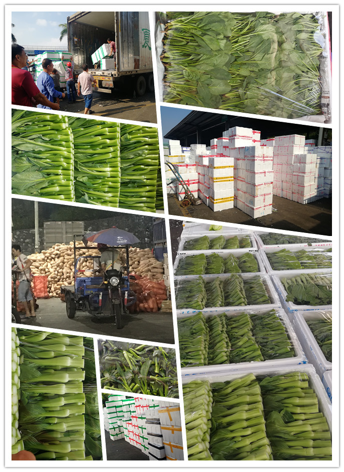 必发7790(中国区)电子集团-线上平台登录入口