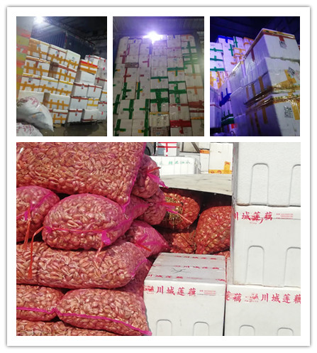 必发7790(中国区)电子集团-线上平台登录入口