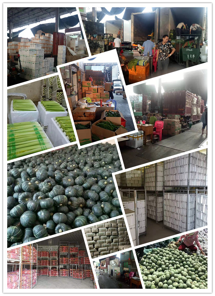 必发7790(中国区)电子集团-线上平台登录入口