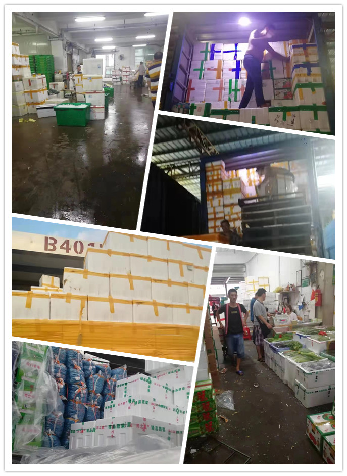 必发7790(中国区)电子集团-线上平台登录入口