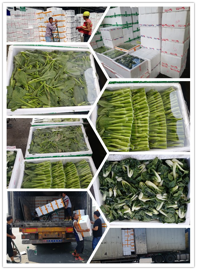 必发7790(中国区)电子集团-线上平台登录入口