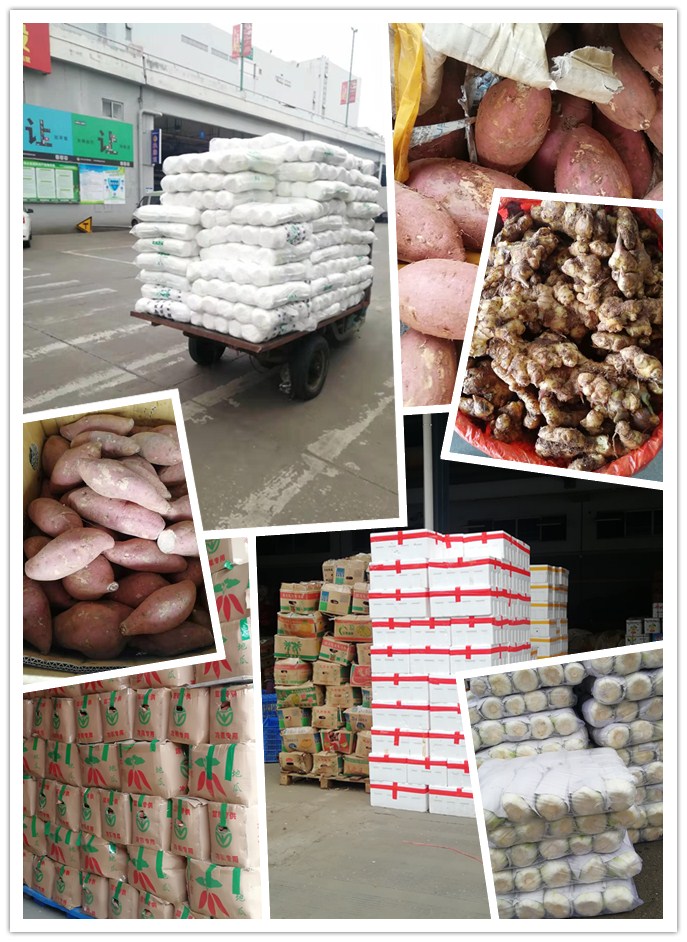 必发7790(中国区)电子集团-线上平台登录入口