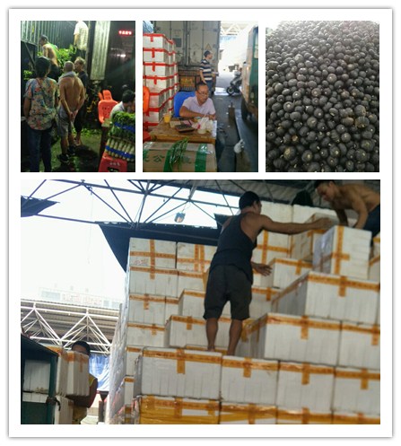 必发7790(中国区)电子集团-线上平台登录入口