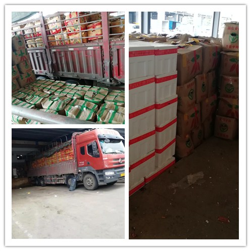 必发7790(中国区)电子集团-线上平台登录入口