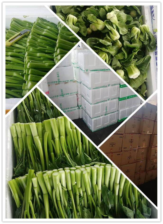 必发7790(中国区)电子集团-线上平台登录入口