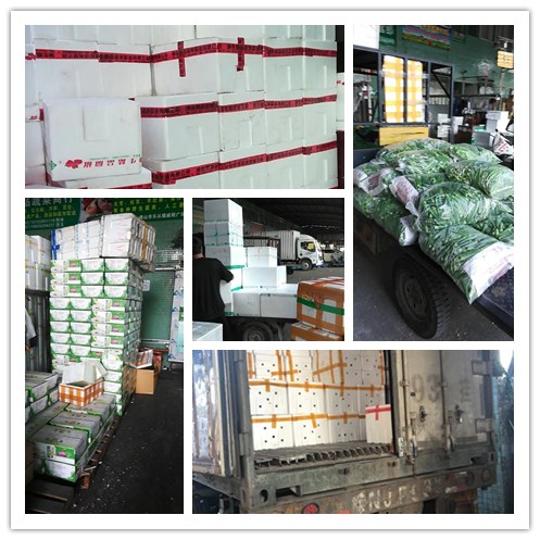 必发7790(中国区)电子集团-线上平台登录入口