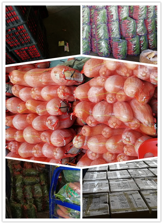 必发7790(中国区)电子集团-线上平台登录入口