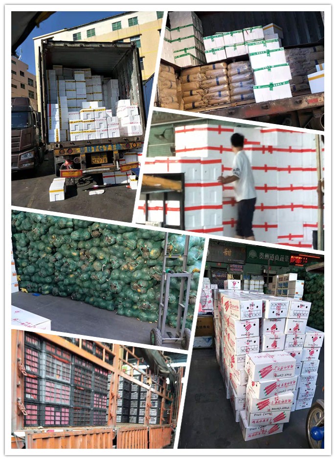 必发7790(中国区)电子集团-线上平台登录入口