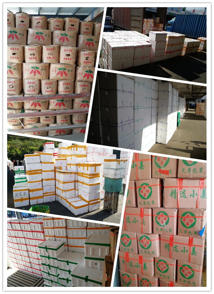 必发7790(中国区)电子集团-线上平台登录入口