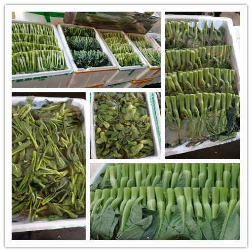 必发7790(中国区)电子集团-线上平台登录入口