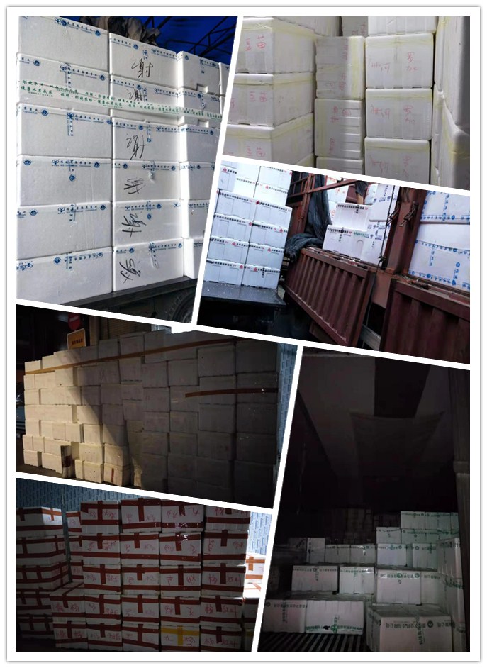 必发7790(中国区)电子集团-线上平台登录入口