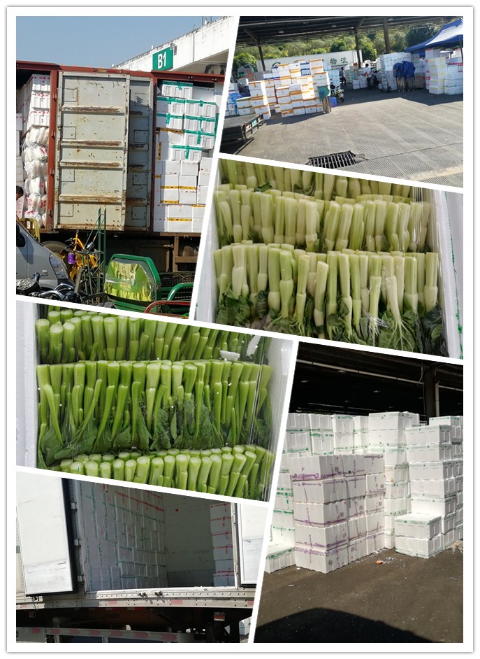 必发7790(中国区)电子集团-线上平台登录入口