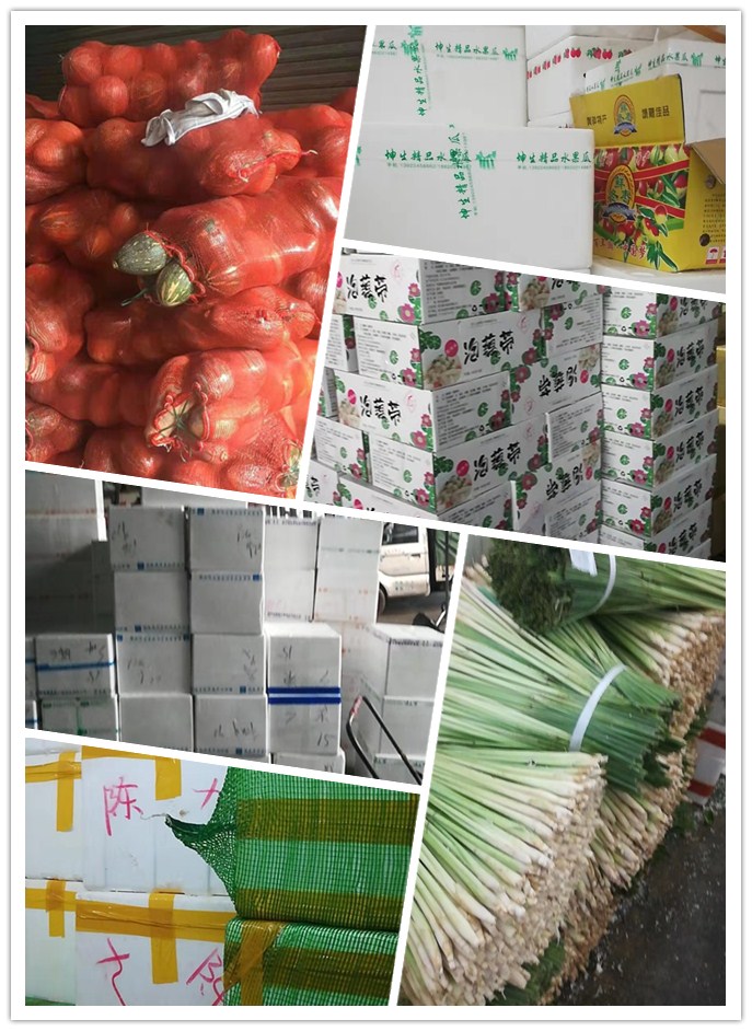 必发7790(中国区)电子集团-线上平台登录入口