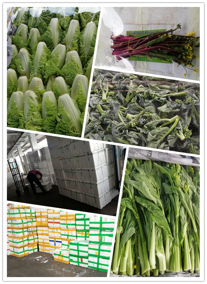 必发7790(中国区)电子集团-线上平台登录入口