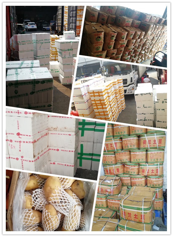 必发7790(中国区)电子集团-线上平台登录入口