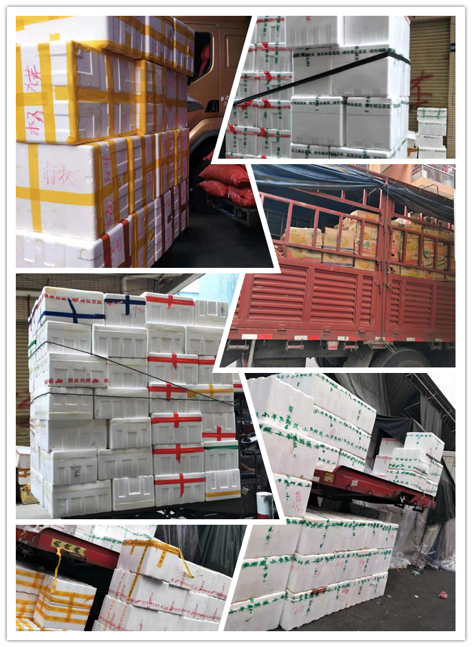 必发7790(中国区)电子集团-线上平台登录入口