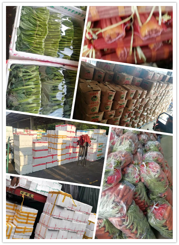 必发7790(中国区)电子集团-线上平台登录入口