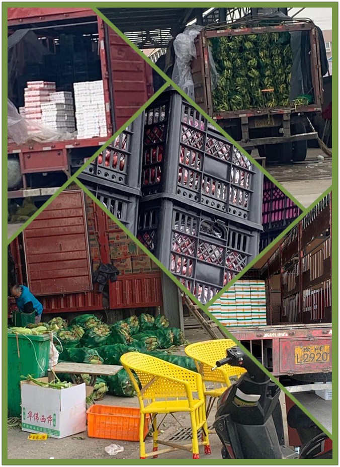 必发7790(中国区)电子集团-线上平台登录入口