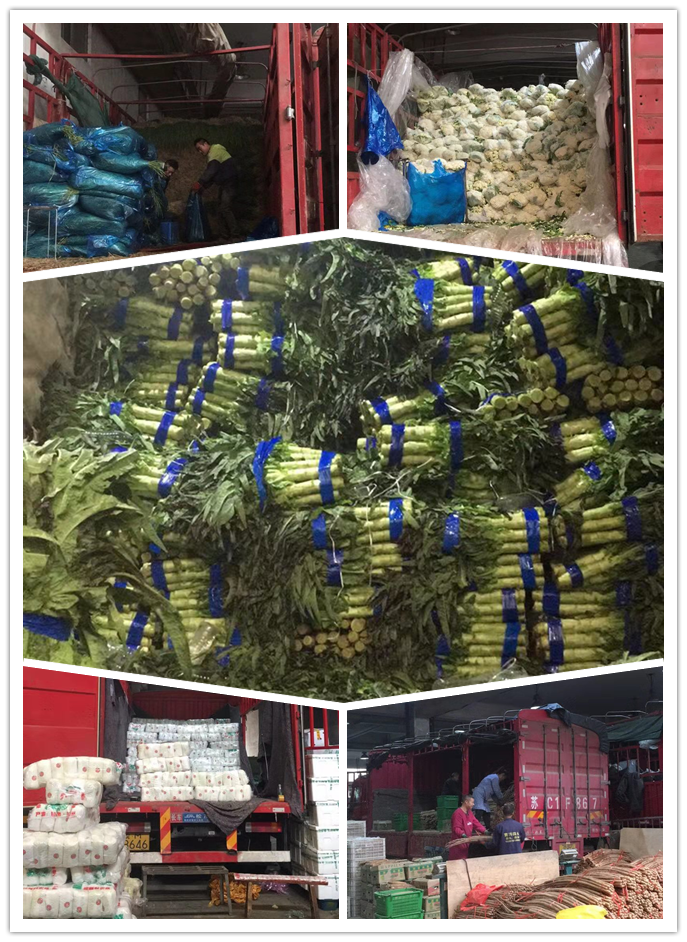 必发7790(中国区)电子集团-线上平台登录入口